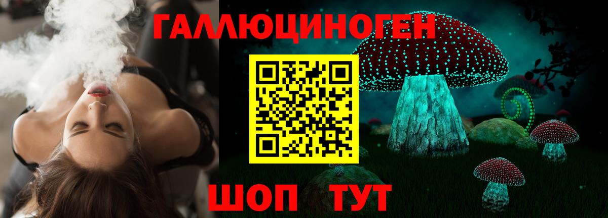 Псилоцибиновые грибы Psilocybine cubensis  Вход с VPN  Якутск  Псилоцибиновые грибы Cubensis 